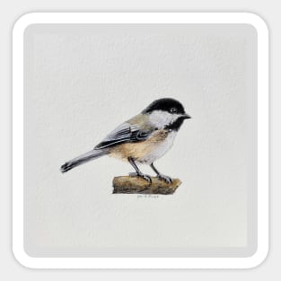 Chickadee Drawing 4 Sticker